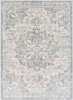 Clichy Traditional Medium Gray Area Rug