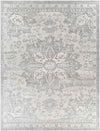 Clichy Traditional Medium Gray Area Rug