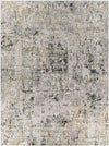 David Modern Gray Area Rug