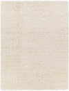 Etampes Modern Cream Area Rug