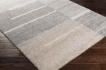 Loos Modern Medium Gray Area Rug