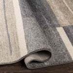 Loos Modern Medium Gray Area Rug