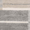 Loos Modern Medium Gray Area Rug