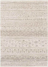 Denain Global Light Gray Area Rug