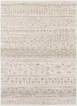 Denain Global Light Gray Area Rug