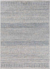 Oliver Modern Medium Gray Area Rug