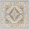 Var Traditional Gray Area Rug