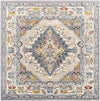 Var Traditional Gray Area Rug