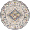 Var Traditional Gray Area Rug
