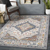 Var Traditional Gray Area Rug
