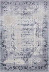 Sarthe Traditional Medium Gray Area Rug