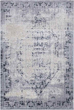 Sarthe Traditional Medium Gray Area Rug
