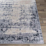 Sarthe Traditional Medium Gray Area Rug