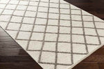 Modena Modern Cream Area Rug