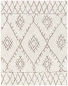Monza Global Ivory Area Rug