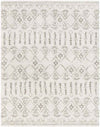 Syracuse Global Taupe Area Rug