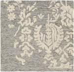 Cesena Traditional Medium Gray Area Rug