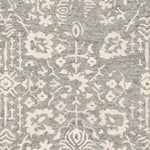 Cesena Traditional Medium Gray Area Rug