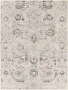 Avellino Traditional Charcoal Area Rug