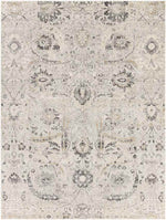 Avellino Traditional Charcoal Area Rug