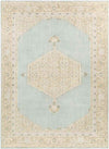 Chieti Traditional Sage Area Rug