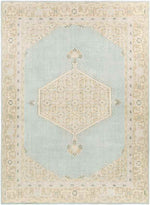 Chieti Traditional Sage Area Rug