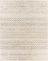 Briar Modern Charcoal Area Rug