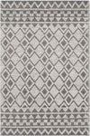 Coyne Global Medium Gray Area Rug