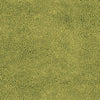 Geron Modern Lime Area Rug