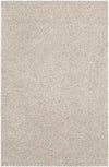 Jasper Modern Taupe Area Rug