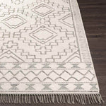 Lance Global Medium Gray Area Rug