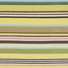Akutan Modern Lime/Teal Area Rug