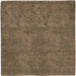 Geron Modern Dark Brown Area Rug