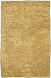 Apopka Modern Gold Area Rug