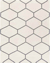Arvada Modern Gray/Ivory Area Rug