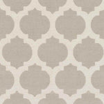 Aubrey Modern Light Gray/Gray Area Rug