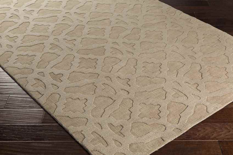 Aramis Modern Beige Area Rug