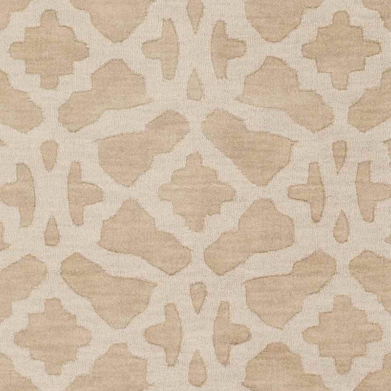 Aramis Modern Beige Area Rug