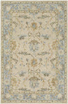 Odo Traditional Light Gray Area Rug