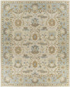 Odo Traditional Light Gray Area Rug
