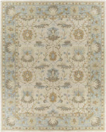 Odo Traditional Light Gray Area Rug
