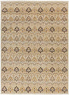Sigourney Traditional Gray/Cream Area Rug
