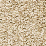 Veele Modern Ivory Area Rug