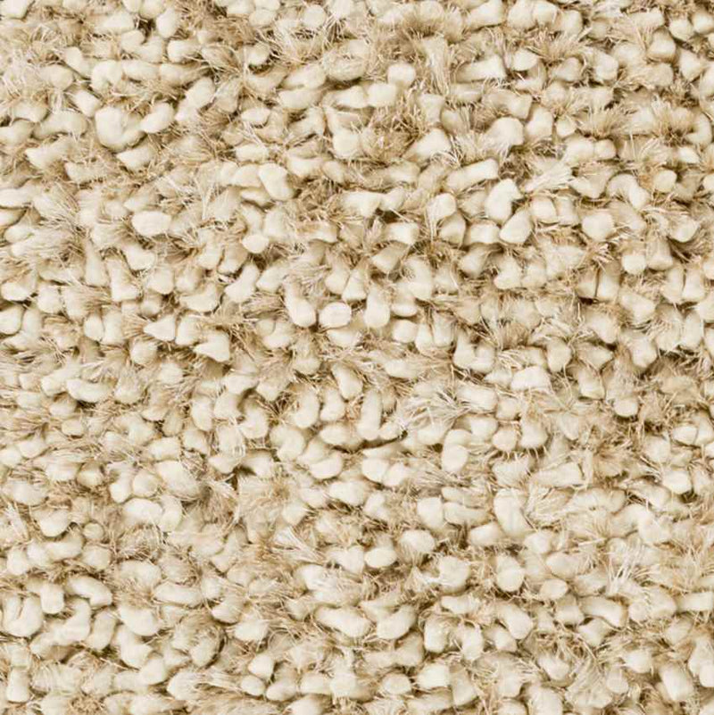Veele Modern Ivory Area Rug