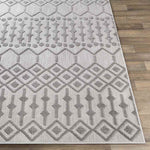 Rupert Global Light Gray Area Rug