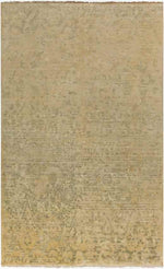 Raynard Traditional Beige Area Rug