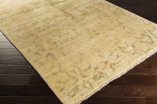 Raynard Traditional Beige Area Rug