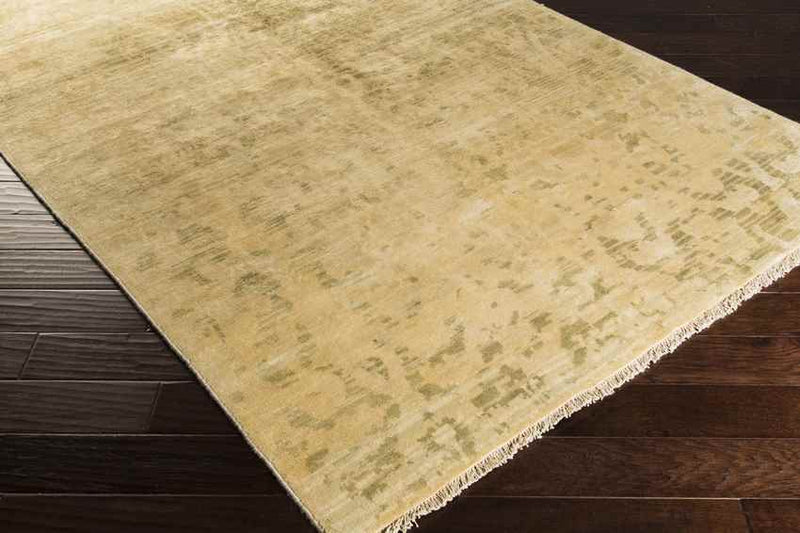 Raynard Traditional Beige Area Rug