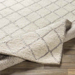 Severin Modern Cream Area Rug