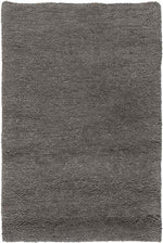 Coweta Modern Charcoal Area Rug